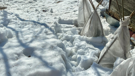 Similar image 21897220