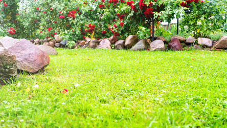 Similar image 21897221