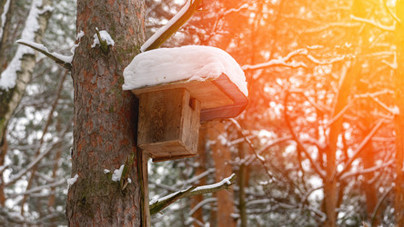 Similar image 21897226