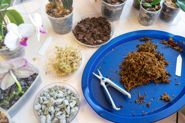 Similar image 21897235