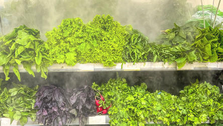 Similar image 21897236