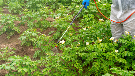 Similar image 21897237