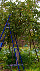 Similar image 21897241