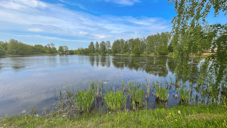 Similar image 21897246