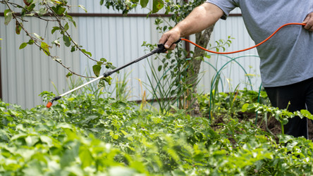 Similar image 21897250