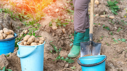 Similar image 21897252