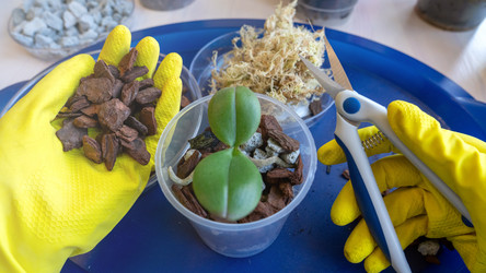 Similar image 21897253