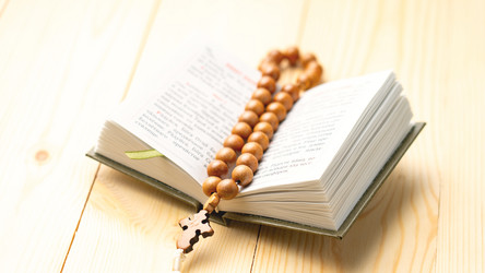 Similar image 21897255