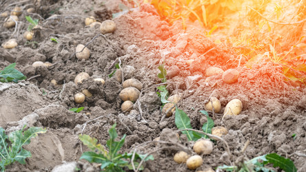 Similar image 21897256