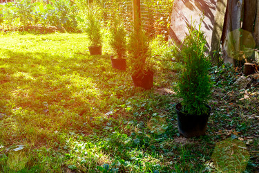 Similar image 21897257