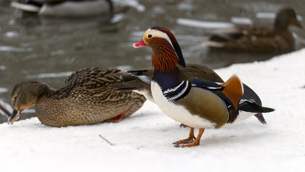 Similar image 21897149