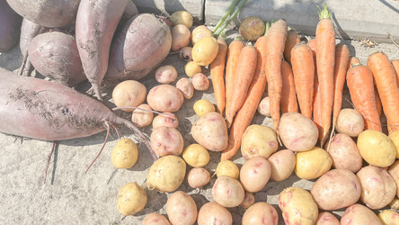 Similar image 21897156