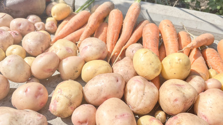 Similar image 21897157