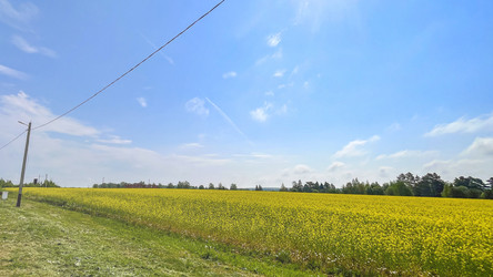 Similar image 21897158