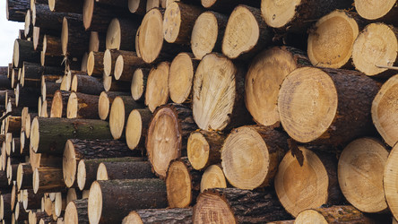 Similar image 21897264