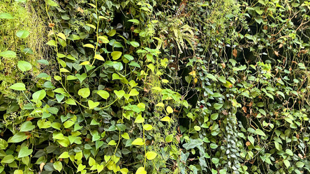 Similar image 21897272