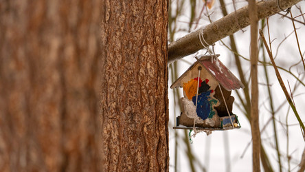 Similar image 21897279