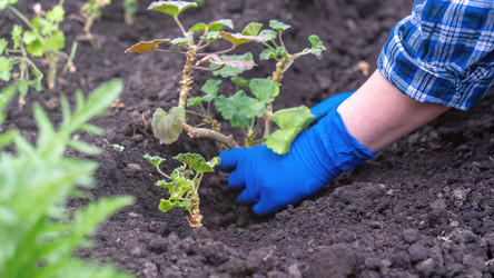 Similar image 21897292