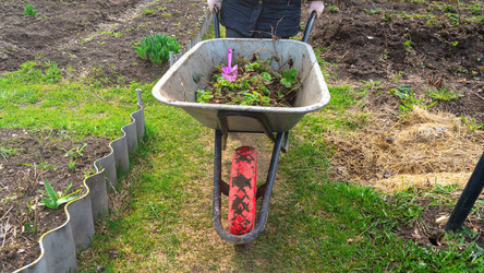 Similar image 21897293