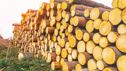 Similar image 21897165