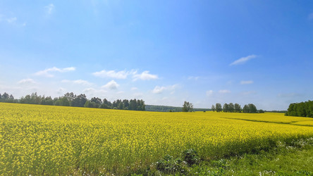 Similar image 21897173