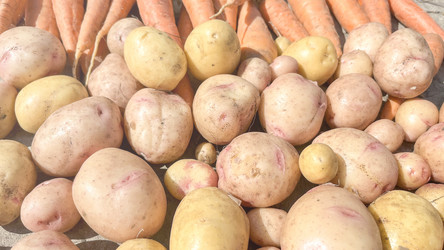 Similar image 21897178