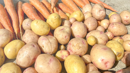 Similar image 21897179