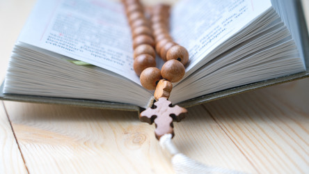 Similar image 21897180