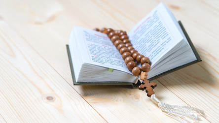 Similar image 21897295