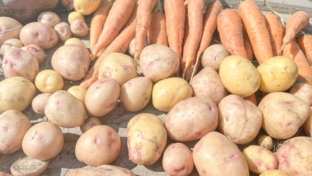 Similar image 21897299