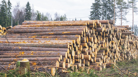 Similar image 21897300