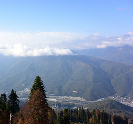 Similar image 21894921