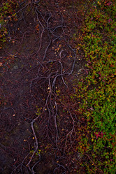 Similar image 21894853