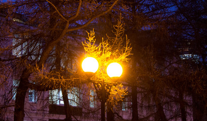 Similar image 21894929