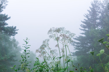 Similar image 21896579