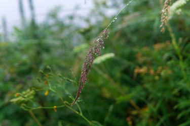 Similar image 21896580