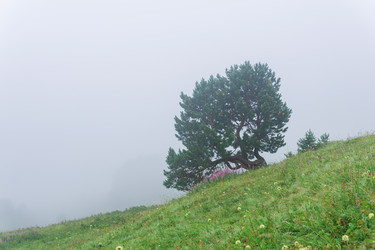 Similar image 21896581