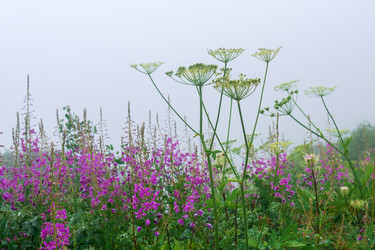 Similar image 21896582