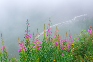 Similar image 21896583