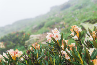 Similar image 21896587