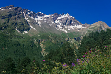 Similar image 21896593