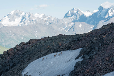 Similar image 21896646