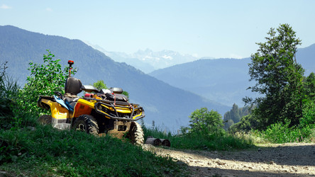 Similar image 21904849