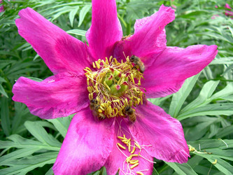 Similar image 21895091