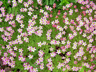 Similar image 21895092