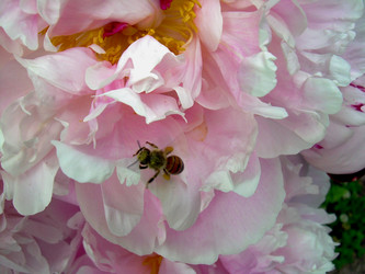 Similar image 21895093