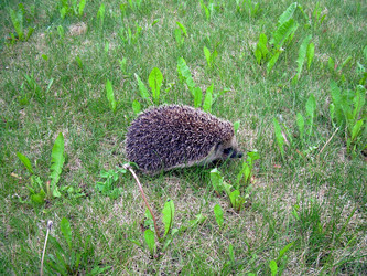 Similar image 21895094