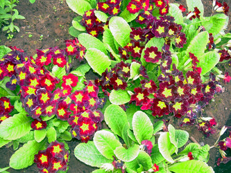 Similar image 21895096