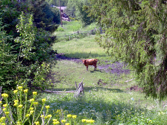 Similar image 21895097