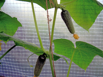 Similar image 21895098